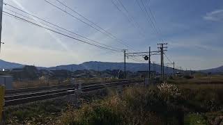 踏切待ちという鉄活　南宮山を借景に　#電車　#鉄道