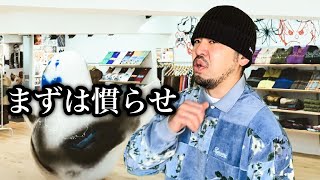 久々の〝ない〟に注意喚起するSupremeの店員