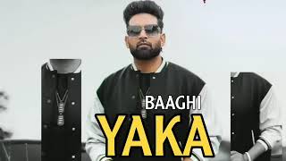 Yaka : Baaghi - New Punjabi Song | Latest Song | Baaghi Album 2022 || Music Bar