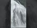 waterfall dudhsagar travel waterfall viralshorts