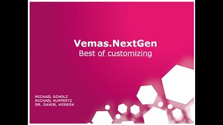 Vemas Inside 2024 Best of Customzing