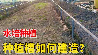 水培种植槽如何建造？用钢管，施工快成本低【付老师种植技术团队】