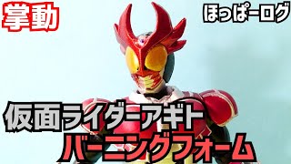 仮面ライダーアギト バーニングフォーム/Kamen Rider AGITO Burning From【掌動塗装/SHODO Painting】