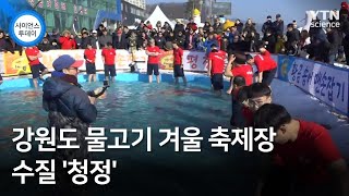 강원도 물고기 겨울 축제장 수질 '청정' / YTN 사이언스