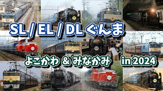 SL・EL・DL 横川/水上/桐生 全部乗せ走行集 in2024 [4K画質]