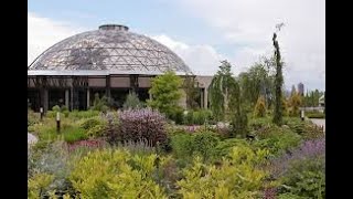 Horticulture Meets History: The Design Principles of Frederick Law Olmsted - DM Botanical Garden