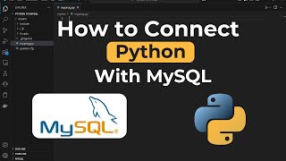 How to Connect Python With MySQL | Run SQL Queries