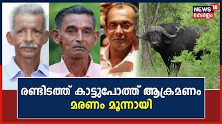 Wild Buffalo Attack | സംസ്ഥാനത്ത് രണ്ടിടത്ത് കാട്ടുപോത്ത് ആക്രമണം; മരണം മൂന്നായി