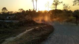 # ALIPURDUAR JUNCTION # MAJHERDABRI TEA GARDEN # EVENING TIME # NORTH BENGAL