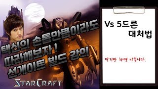 저그전 선게이트 vs 5드론