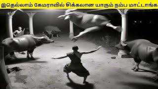 இதெல்லாம் கேமராவில் சிக்கலான யாரும் நம்ப மாட்டாங்க | Shocking Animals Moments in Tamil