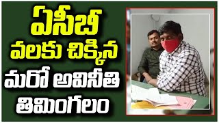 ఏసీబీ వలకు చిక్కిన మరో అవినీతి తిమింగలం |Warangal Sanitary Jawan Sandra Madhu Caught | Tolivelugu TV