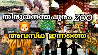 മൃഗങ്ങളുടെ ലോകത്തേക്ക് സ്വാഗതം!!! 🦬🦣🐻🐨🙊🐐🦓🦄🐅🐆🦁🐴🫎🐒🦍#trivandrum zoo #half dau in my life