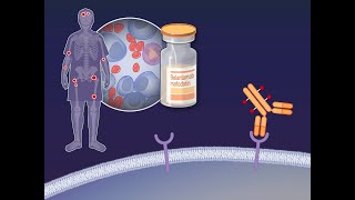 ಬಹು ಮೈಲೋಮಾಗೆ ಬೆಲಂತಮಾಬ್ ಮಾಫೋಡೋಟಿನ್ | NEJM