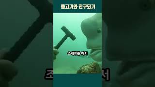 엄청 못생긴 물고기를 치료해 줬더니