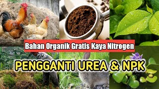 15 Bahan Organik Alami Yang Mengandung Nitrogen Tinggi, Pengganti Pupuk UREA \u0026 NPK!!!