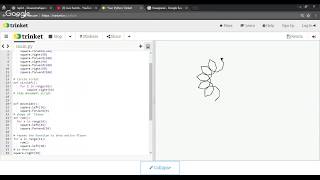 Python turtle Sunflower drawing #3