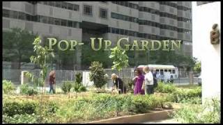 Temple exhibit helps turn Center City lot into thriving garden