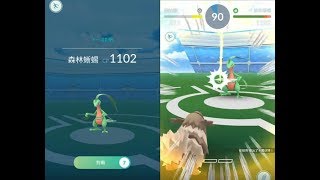 【Pokemon GO】第三代寶可夢蛇紋熊與森林蜥蜴道館對戰! [精靈寶可夢GO]