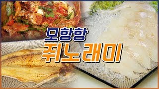 맛있어서 놀래미? 모항항 쥐노래미 #쥐노래미회 #쥐노래미구이 #쥐노래미찜 #쥐노래미조림 [어영차바다야]