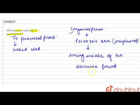 Which era is the age of gymnosperms?