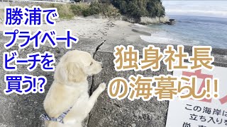 独身社長の海暮らし。プライベートビーチを買う!?ゴールデンレトリバーティト。