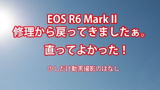 #canon #eosr6mark2 #eos