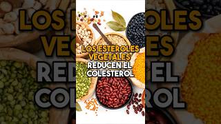 Consume estos alimentos para disminuir el colesterol 🌱