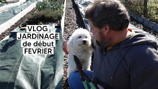 [VLOG] Quiet and varied gardening at the beginning of February