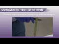 field screening test for nitrate in corn or sorghum stalks