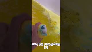 LUSH X SUPER MARIO BROS.MOVIE 問號方塊氣泡彈！超大一顆泡出來的顏色像？？？