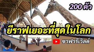 วันหยุดพาลูกๆไปเที่ยวสวนสัตว์ไหนดี ใกล้ๆกรุงเทพฯ | 3D