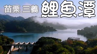 鯉魚潭水庫 苗栗 三義 MAVIC AIR 空拍 苗栗景點 一日遊 羿丞趴趴走