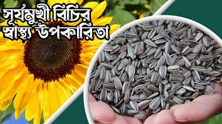 সূর্যমুখী বীজের স্বাস্থ্য উপকারিতা/ক‍্যান্সার প্রতিরোধ এবং ত্বক/চুল ও এ‍্যাজমা ভালোকরে সূর্যমুখী বিজ