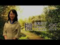 ga611 晨祷｜2 samuel 撒母耳记下 21｜郑晓颖牧师 rev sarah chang｜11.10.2023