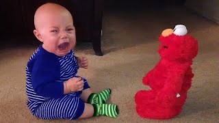Try Not To Laugh : Funny Reaction Babies Play Toys 2 | Funny Baby Videos