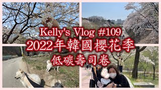 2022年韓國櫻花季｜低碳壽司卷｜2022 Korean Cherry Blossom season and low carbs sushi wrap weekend Vlog #109