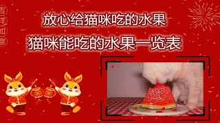 可以放心给猫咪吃的水果