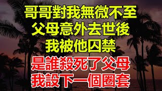 哥哥對我無微不至，父母意外去世後，我被他囚禁，是誰殺死了父母，我設下一個圈套