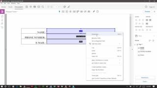 Adobe PDF Tooltips