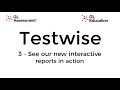 Interactive reports overview I Testwise upgrade 2021