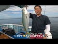 三重県鳥羽　ブリ メジロ カンパチ爆釣！タテ釣り🐟落とし込みのコツ完全習得！3桁😆😆 関クリリン 船釣り カンパチ ぶり 鳥羽 落とし込み タテヅリ 勝丸