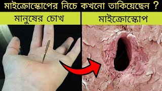 মাইক্রোস্কোপের নিচে কখনো তাকিয়েছেন শুধুমাত্র এগুলিই দেখবেন Amazing Discoveries Under Microscope !