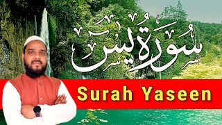 Surah Yaseen | Surat ul Yasin | Beautiful Quran Surah Yaseen | Hafiz Arshad Ahmad Official