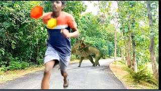 Temple run lost in jungle 2 In real life