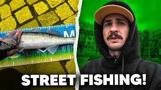 STREET FISHING w SZCZECINIE!