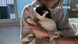 The cat who hates mother had no choice but to hug her warmly