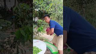 แค่จะเอาครกมาตำส้มตำน่ะ #ตลก #คลิปตลก #funny #comedy