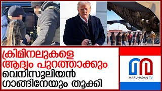 അമേരിക്കയിലെ അനധികൃത കുടിയേറ്റക്കാരെ ഓടിച്ചിട്ട് പിടിച്ച് സൈന്യം l donald trump