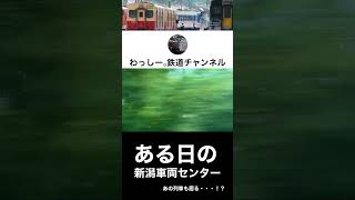 ある日の新潟車両センター #shorts